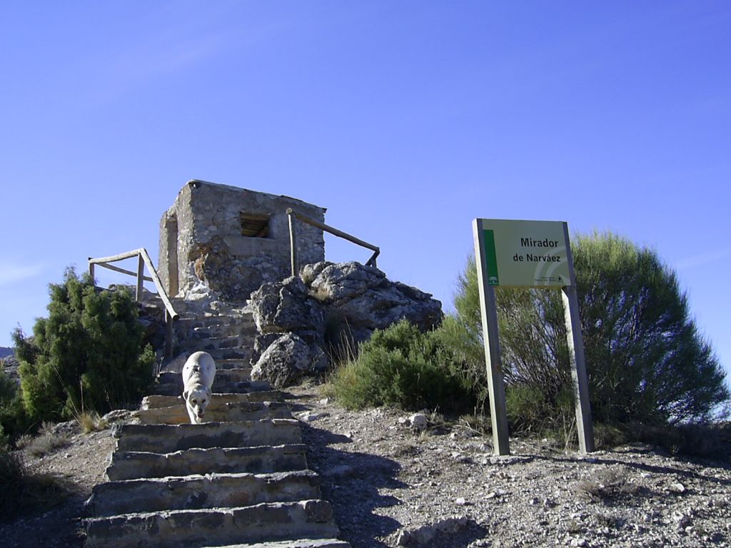 Ventana del Visitante Narváez