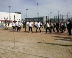 Polideportivo Municipal de Baza - Instalaciones de Gimnasia