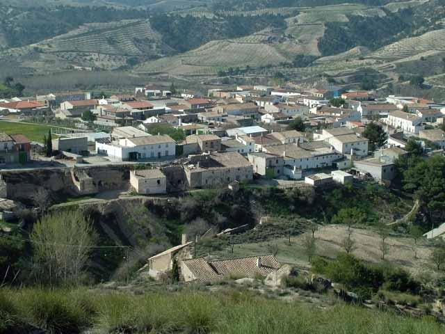 Cortes-de-baza_74