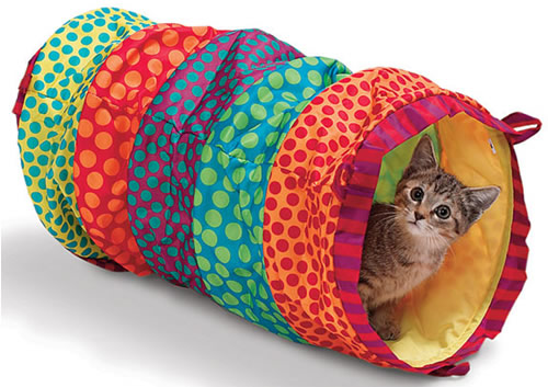 Tiendas de Animales / Mascotas en Baza